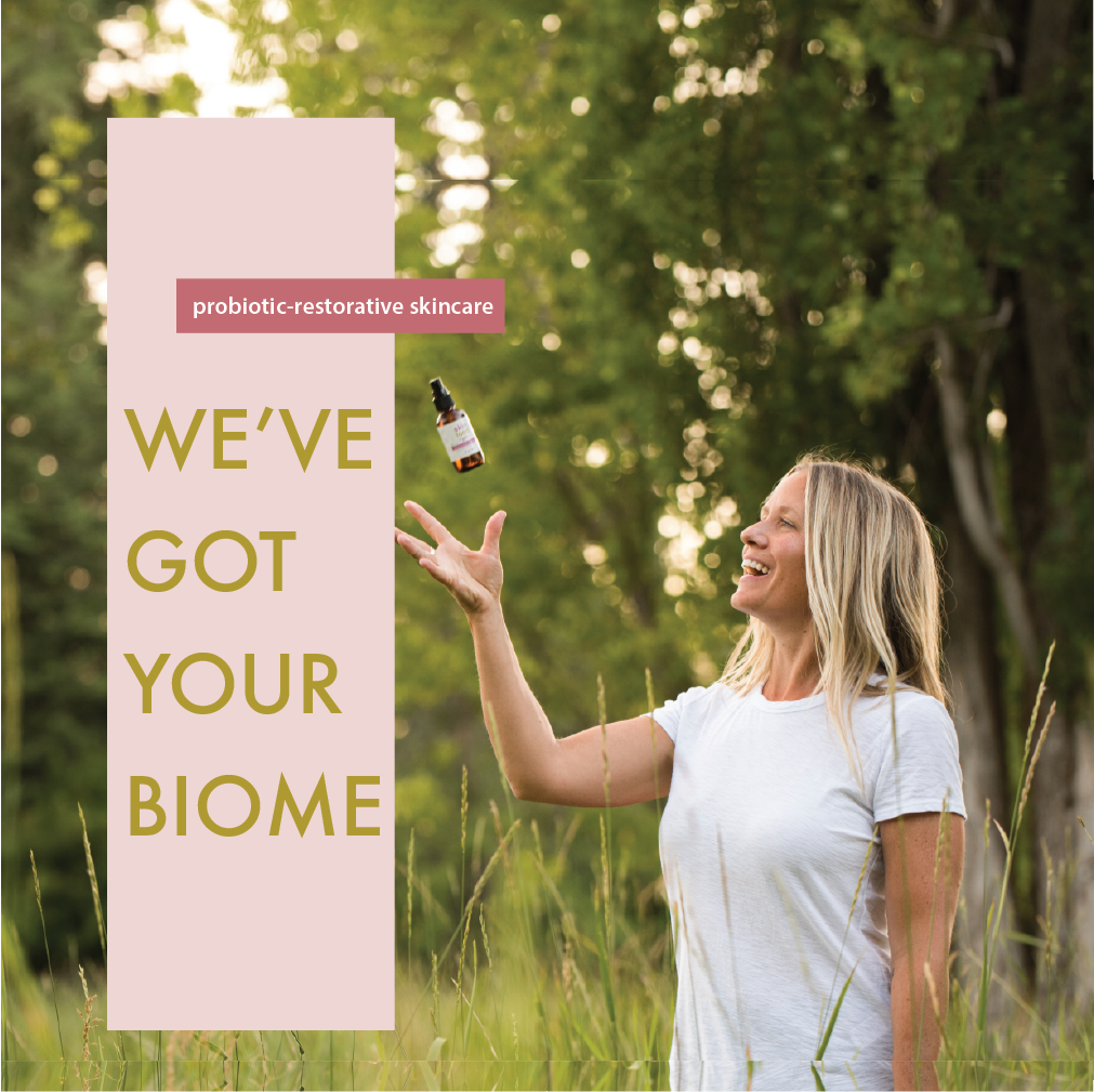 lapoem  mobile home banner